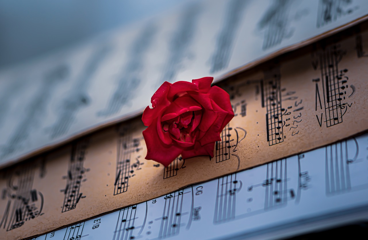 Sheet Music Red Rose Classical Music - Ri_Ya / Pixabay