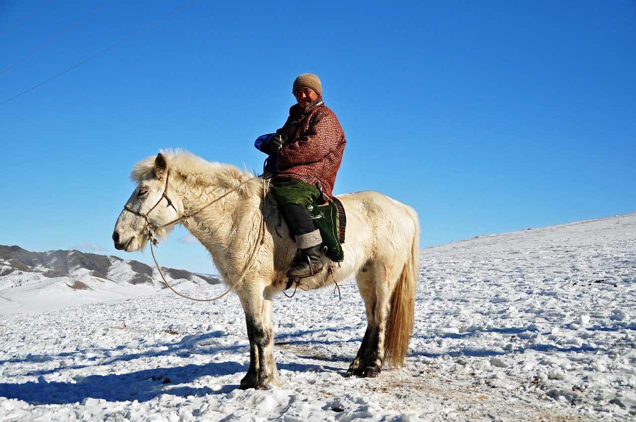 Shepherd Mongolia Traveling Winter - francescobovolin / Pixabay