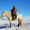 Shepherd Mongolia Traveling Winter  - francescobovolin / Pixabay