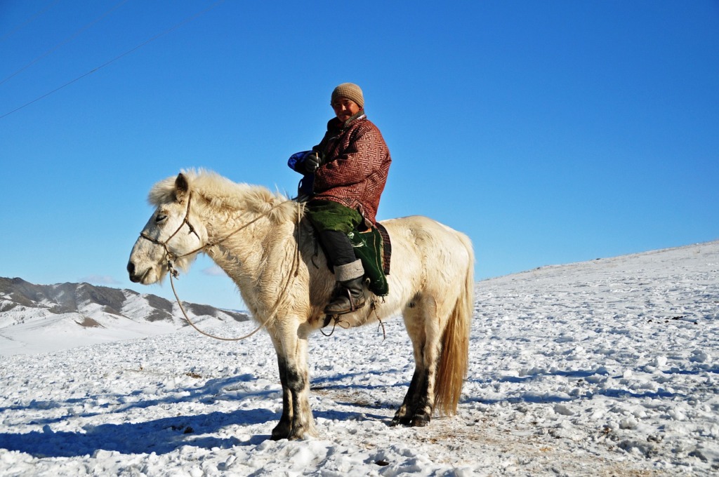 Shepherd Mongolia Traveling Winter  - francescobovolin / Pixabay