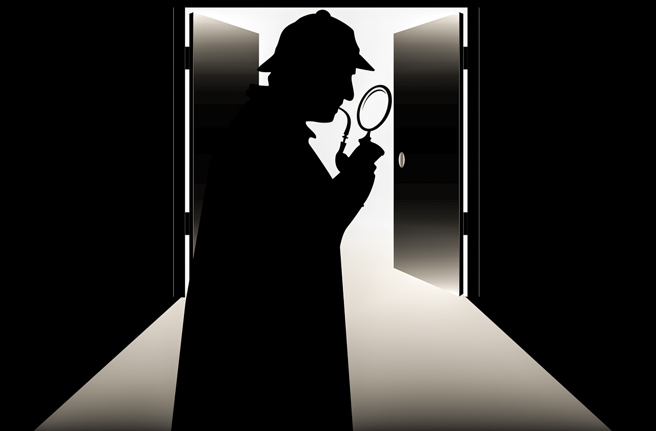 Sherlock Holmes Detective Hat Door  - mohamed_hassan / Pixabay