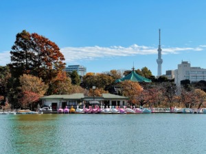 Shinobazu Pond Ueno Park Taito City  - thedlkr / Pixabay