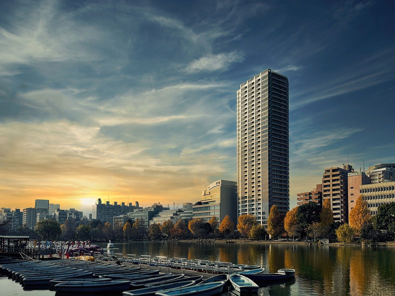 Shinobazu Pond Ueno Park Tokyo  - thedlkr / Pixabay
