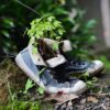 Shoes Aged Nature Plants Slippers  - orzalaga / Pixabay