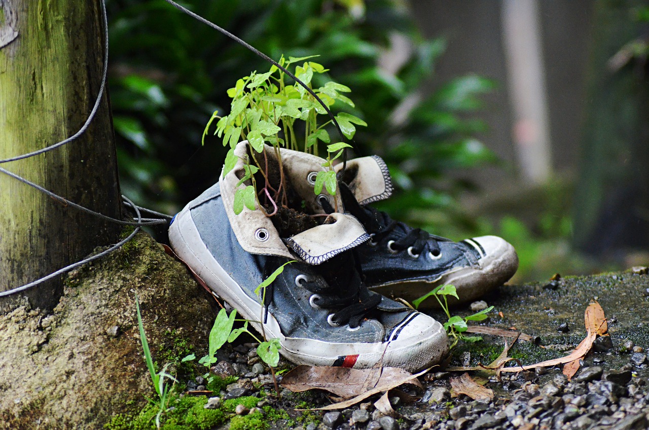 Shoes Aged Nature Plants Slippers  - orzalaga / Pixabay