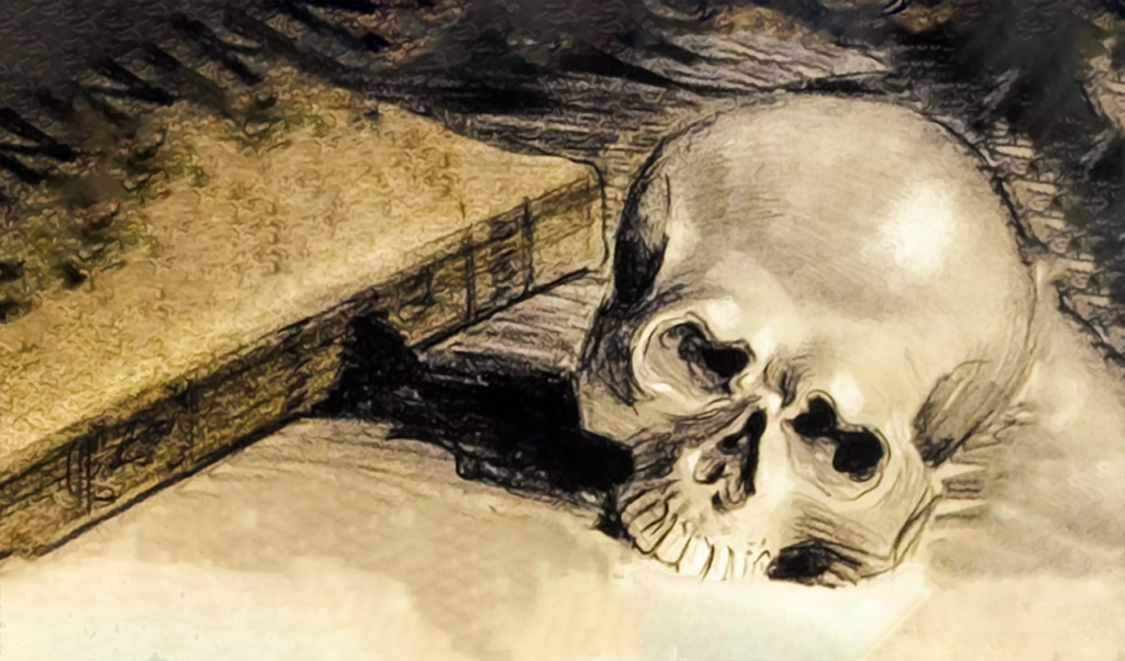 Skull Book Candle Vintage Drawing  - squarefrog / Pixabay