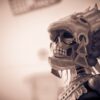 Skull Skeleton Bones Figure  - leonnzam / Pixabay
