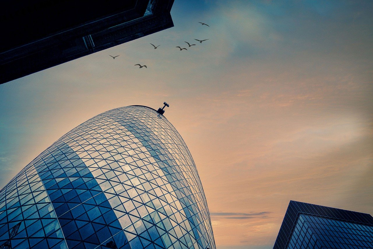 Skyscrapers Sky Birds Flying  - fietzfotos / Pixabay