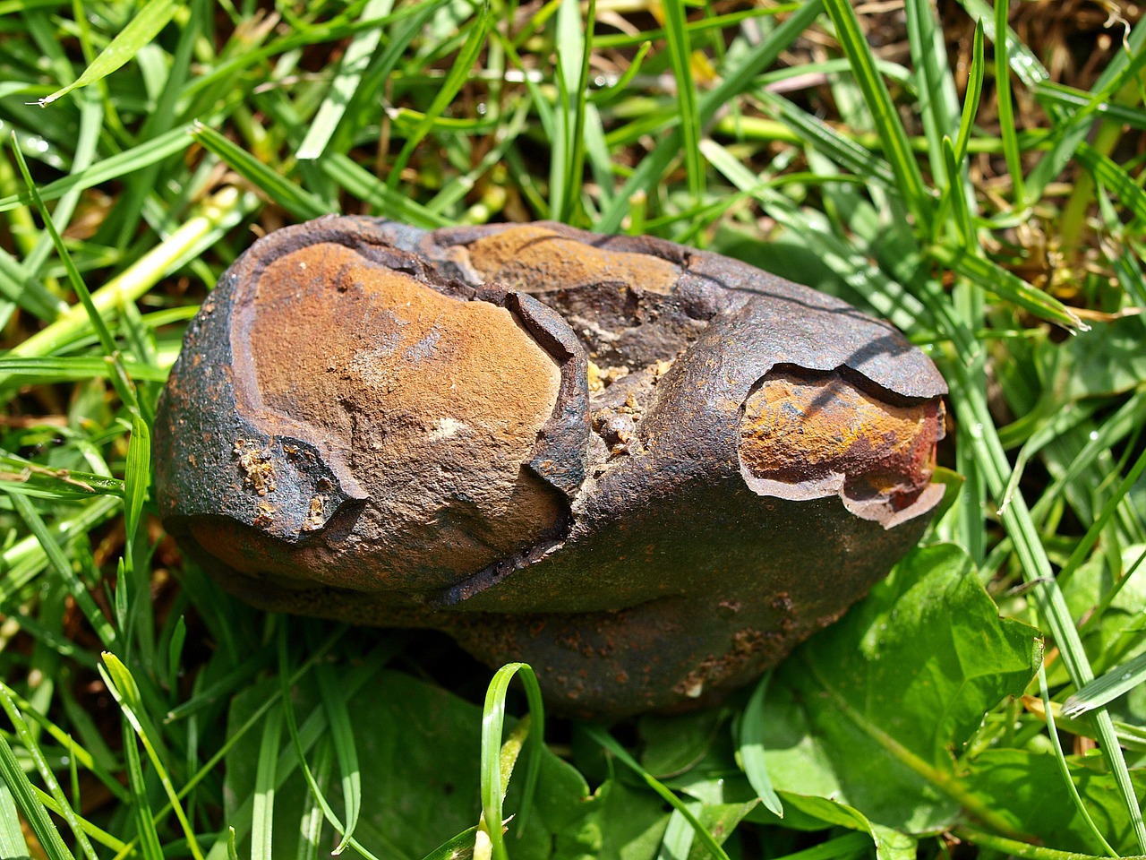 Small Meteorite Melted Outer Skin  - kie-ker / Pixabay