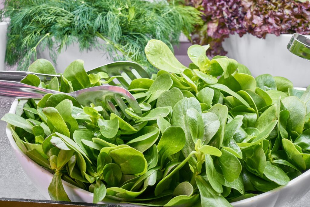 Spinach Green Vegetable Daniel  - Engin_Akyurt / Pixabay