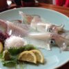 Squid Sashimi Japanese Meal  - umiyuki / Pixabay