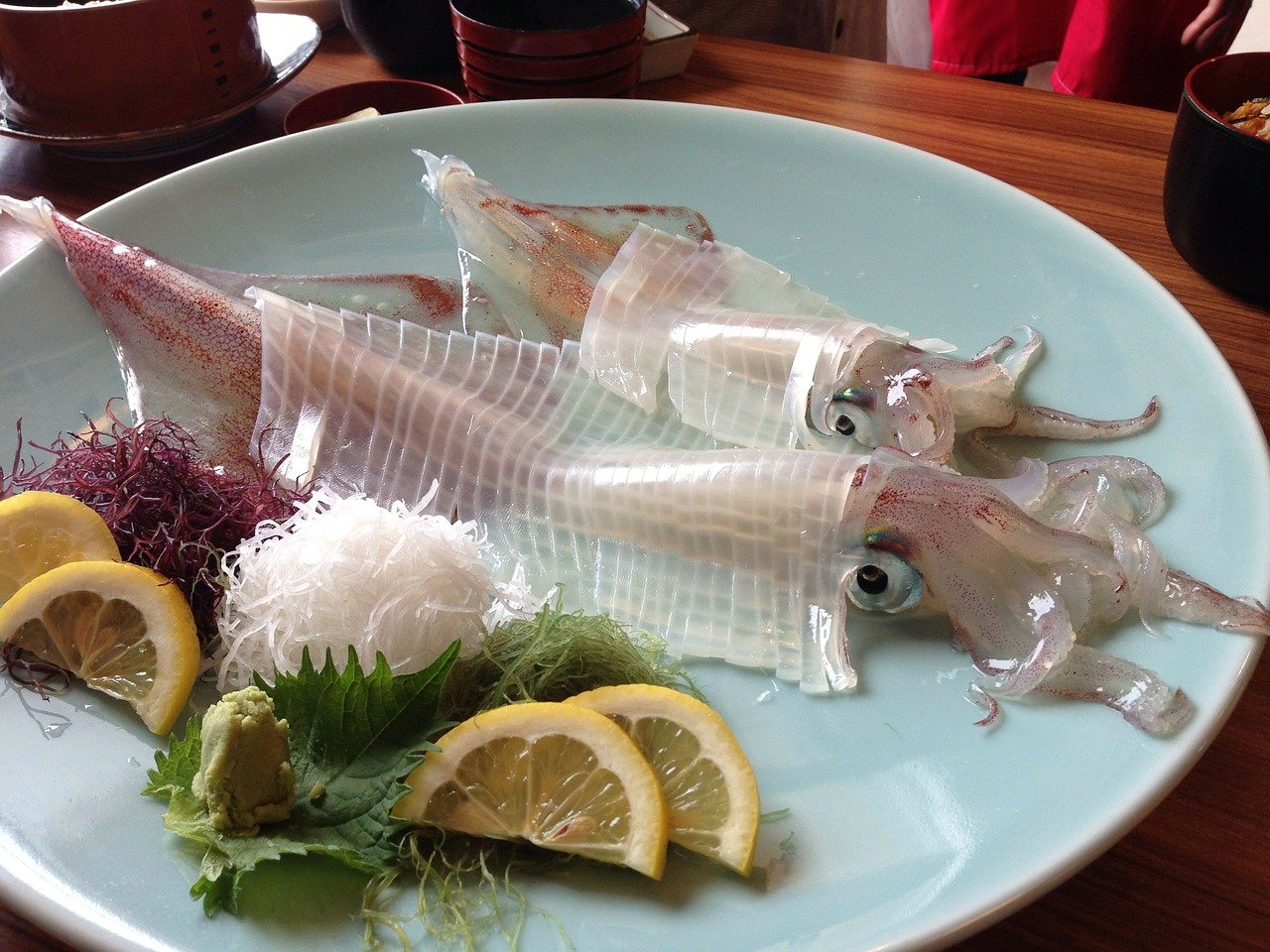 Squid Sashimi Japanese Meal  - umiyuki / Pixabay