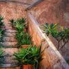 Stairs Plants Old Building Wall  - fietzfotos / Pixabay