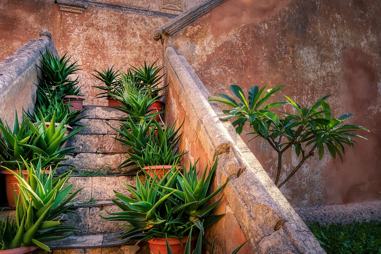 Stairs Plants Old Building Wall - fietzfotos / Pixabay