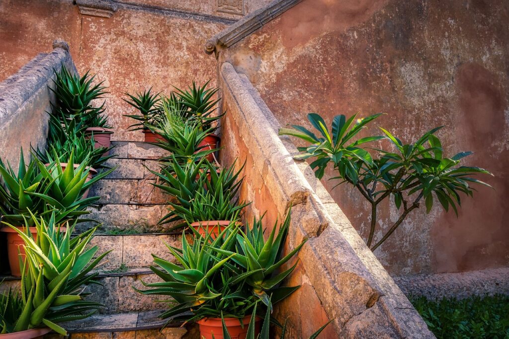 Stairs Plants Old Building Wall  - fietzfotos / Pixabay