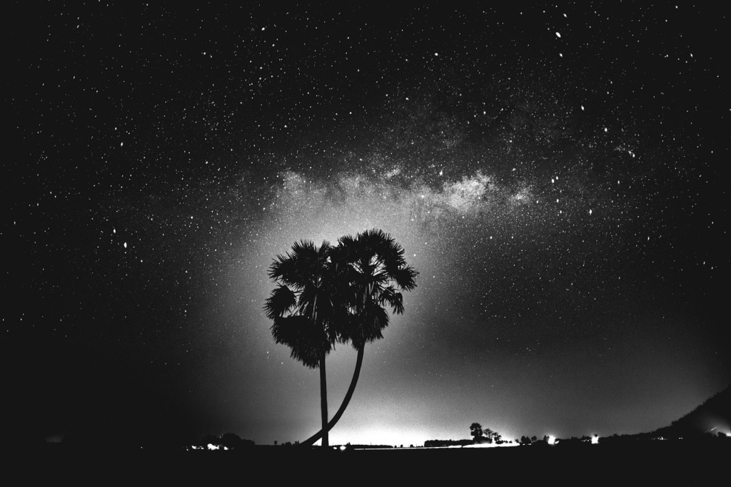 Starry Sky Trees Stars Sky Night  - HuyNgan / Pixabay