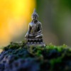 Statue Buddha Meditation Buddhism  - NIL-Foto / Pixabay