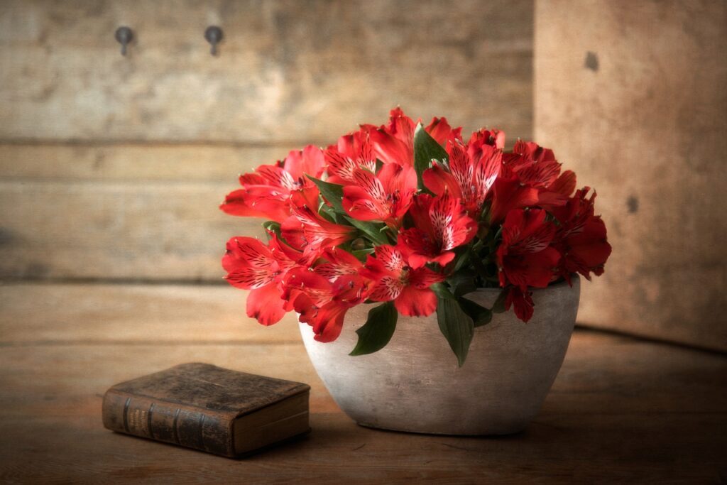 Still Life Flowers Book Pot  - ichhabs / Pixabay