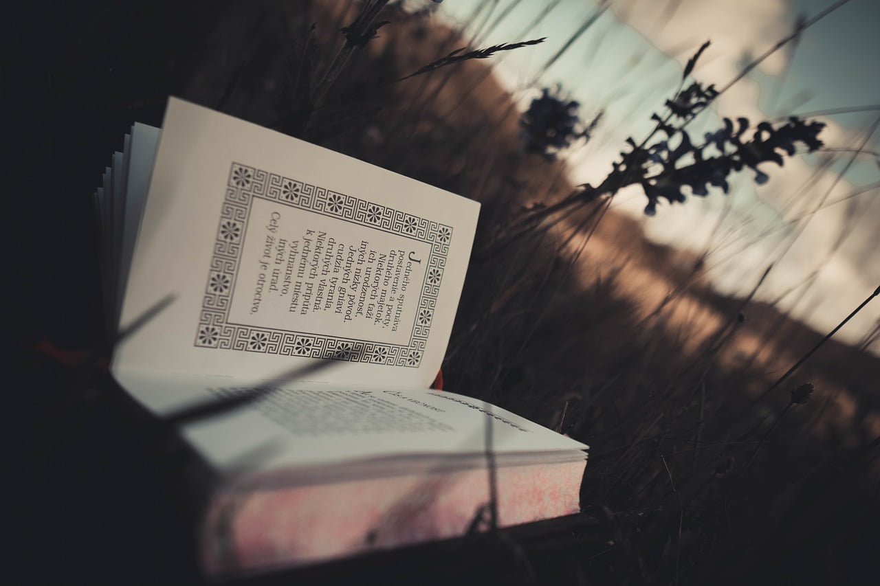 Stocizmus Philosophy Book Reading  - MikeWildadventure / Pixabay