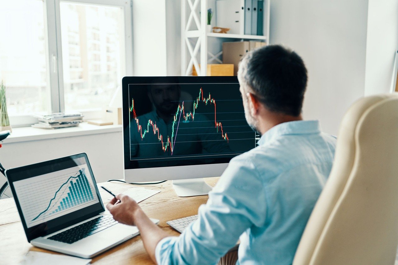 Stock Market Man Work Laptop  - tatyanaBuzmakova_Krasnova / Pixabay