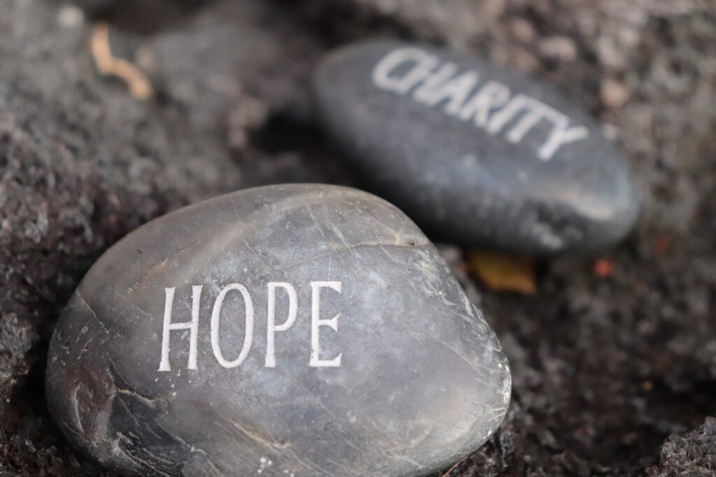 Stone Charity Rock Hope Gray Rock  - ladybug1093 / Pixabay