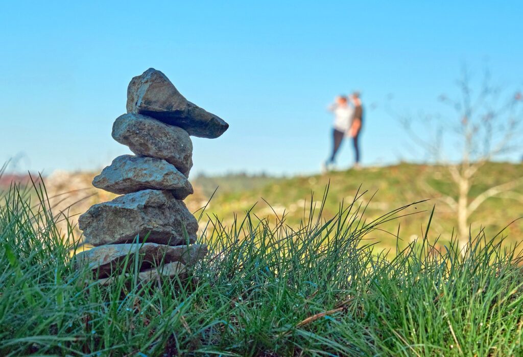 Stones Grass Couple Pair  - Ted_Browning / Pixabay
