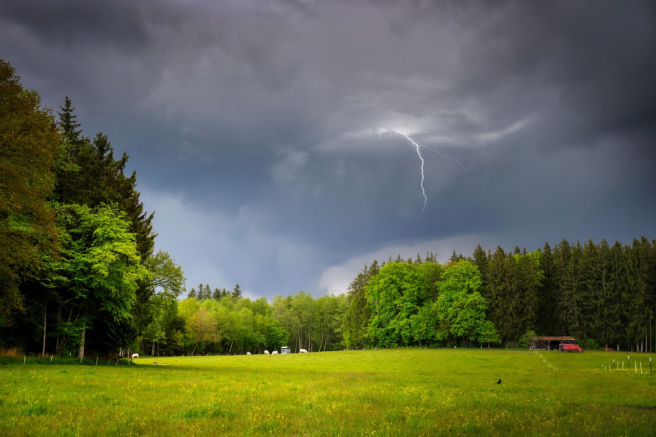 Storm Thunderstorm Lightning - fietzfotos / Pixabay