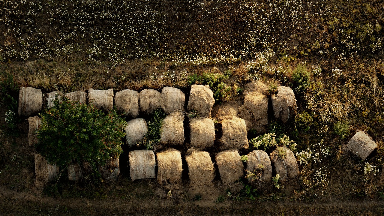 Straw Bales Abandoned Flower Meadow  - Mylene2401 / Pixabay