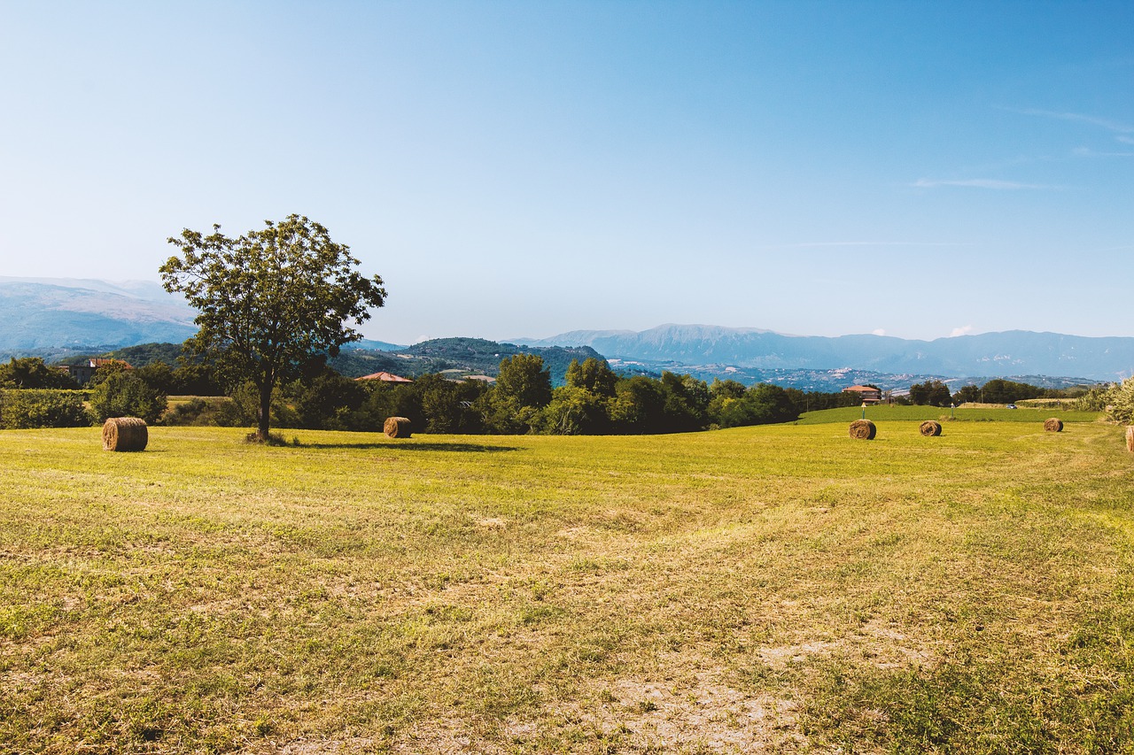 Straw Field Agriculture Summer - Chikilino / Pixabay