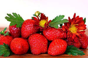 Strawberry Flower Fruit Red  - ignartonosbg / Pixabay