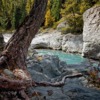 Stream Forest Nature Rocks River  - Camera-man / Pixabay