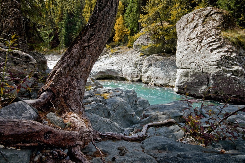 Stream Forest Nature Rocks River  - Camera-man / Pixabay
