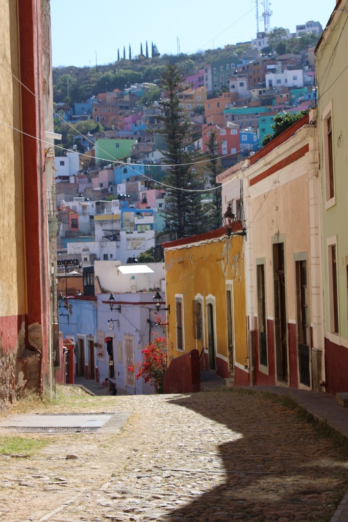 Street Town Morning Guanajuato  - Edu_Al / Pixabay