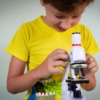 Study Microscope Kids Lesson  - Victoria_Borodinova / Pixabay