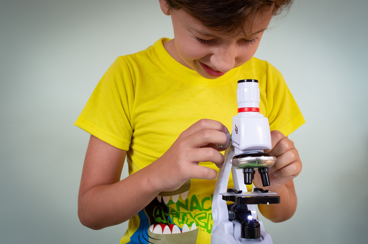 Study Microscope Kids Lesson  - Victoria_Borodinova / Pixabay