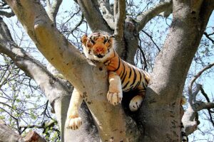 Stuffed Tiger Toy Branches  - GAIMARD / Pixabay