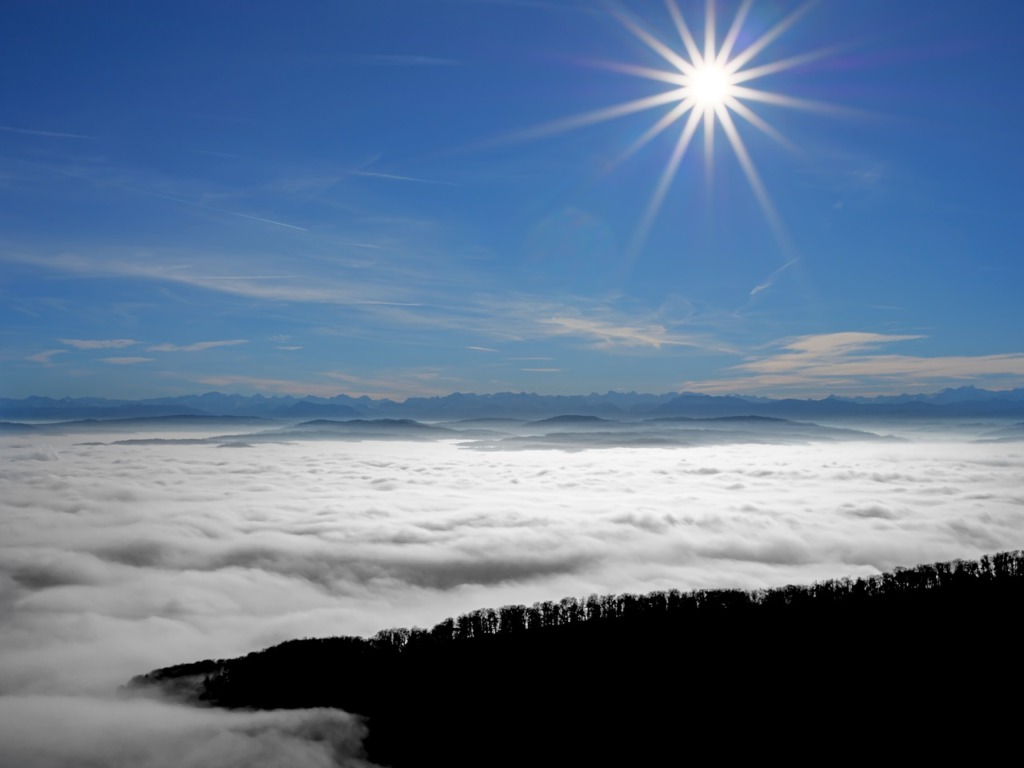 Sun Fog Alps Forest Distant Vision  - adege / Pixabay