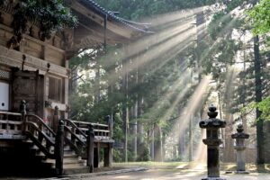 sun rays forest koyasan temple fog 7387131