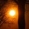 Sun Sunset Tree Silhouette  - manfredrichter / Pixabay