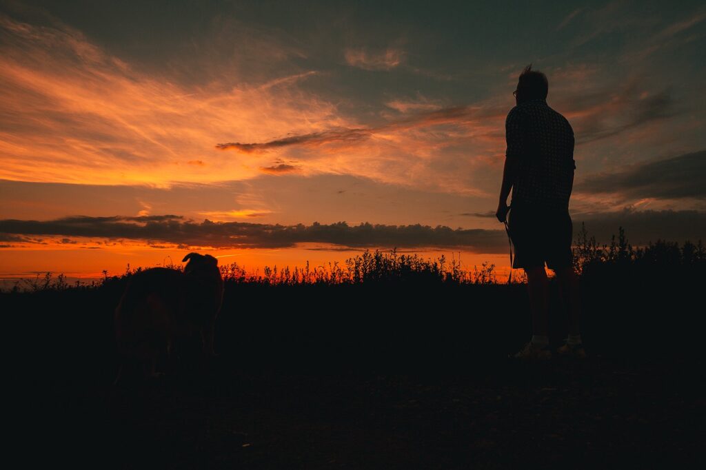 Sunrise Man The Silhouette Sky  - jwvein / Pixabay