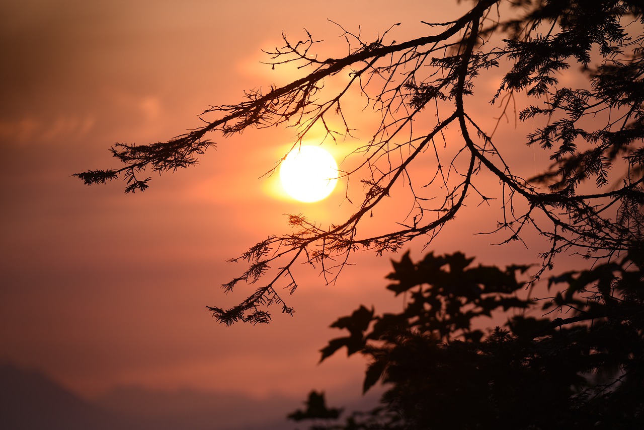 Sunrise Morning Sun Sky Nature  - Veronika_Andrews / Pixabay