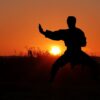 Sunset Nature Sport Karate Zen  - rauschenberger / Pixabay