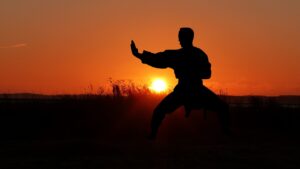 Sunset Nature Sport Karate Zen  - rauschenberger / Pixabay