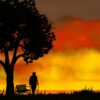 Sunset Old Man Silhouettes Tree  - aalmeidah / Pixabay