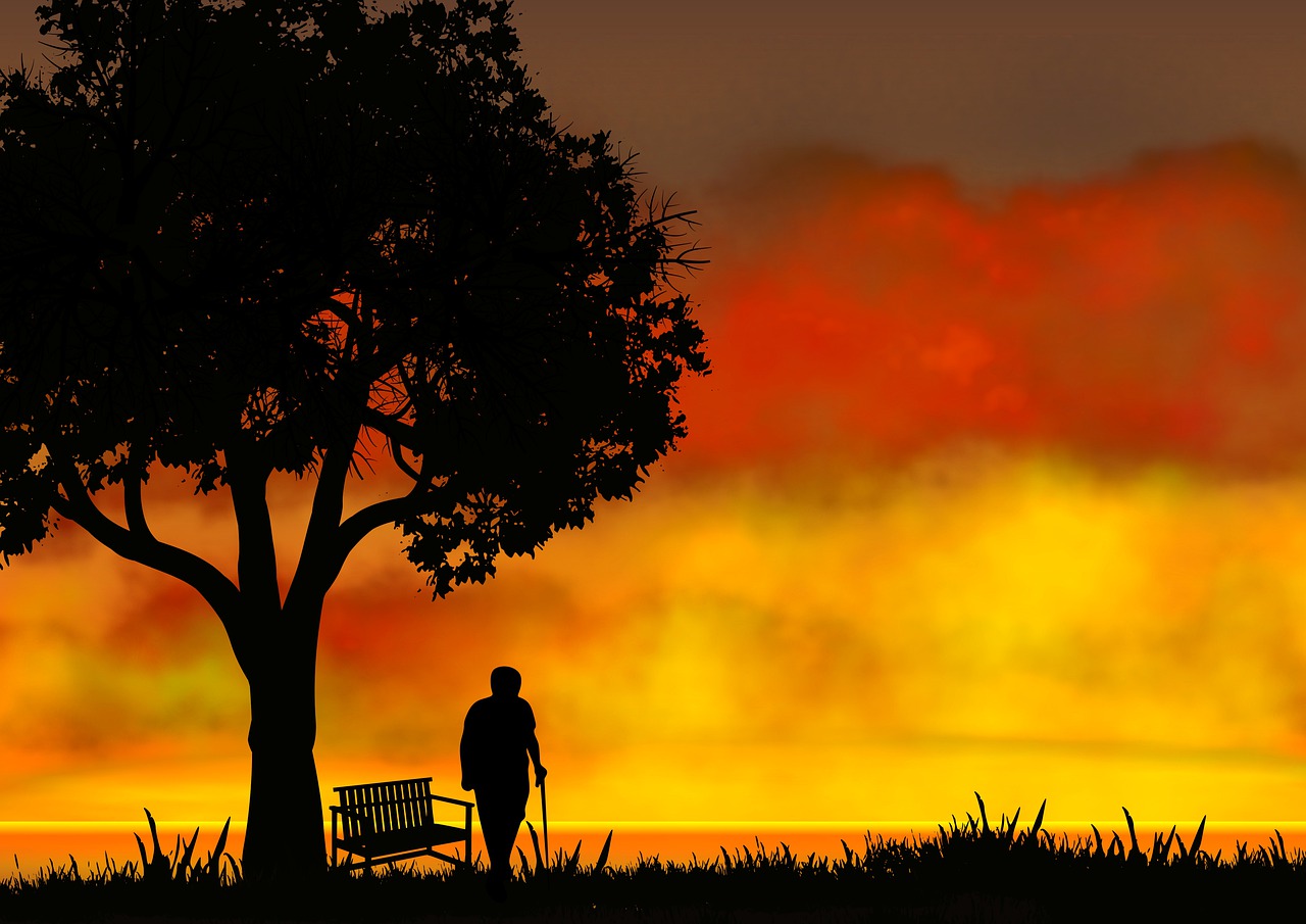 Sunset Old Man Silhouettes Tree  - aalmeidah / Pixabay