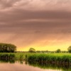 Sunset Rice Field Pond Wetland  - Alfred_Grupstra / Pixabay