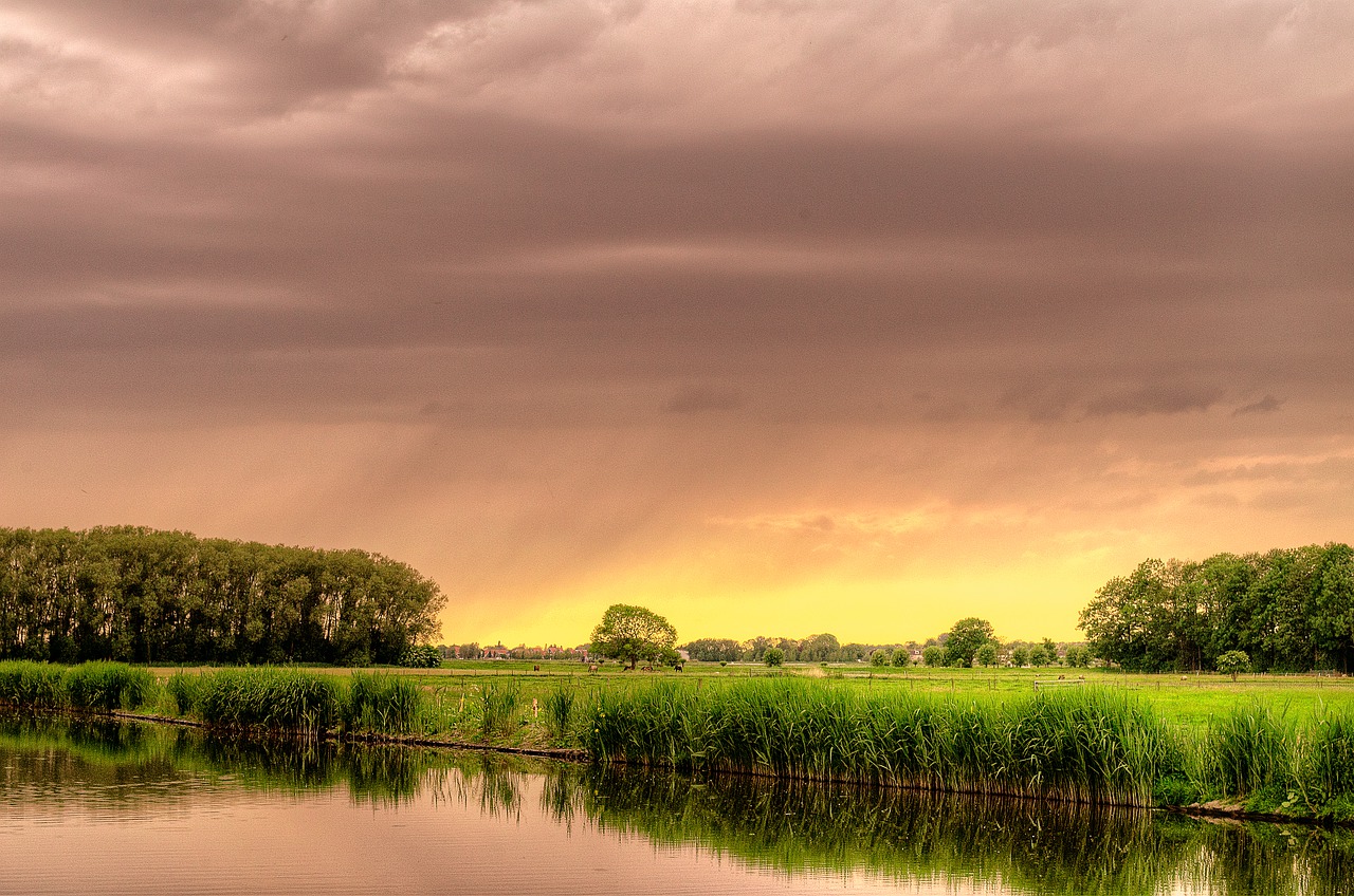 Sunset Rice Field Pond Wetland  - Alfred_Grupstra / Pixabay