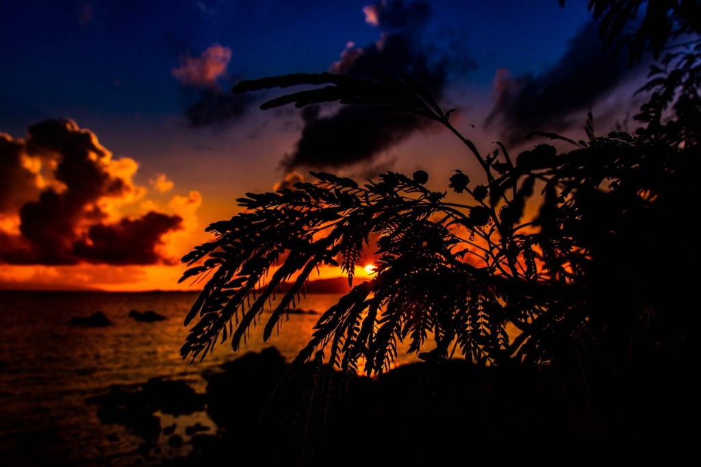 Sunset Sun Sky Evening Cloud  - MSeimori / Pixabay