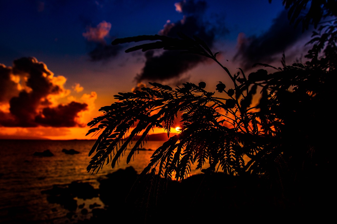 Sunset Sun Sky Evening Cloud - MSeimori / Pixabay