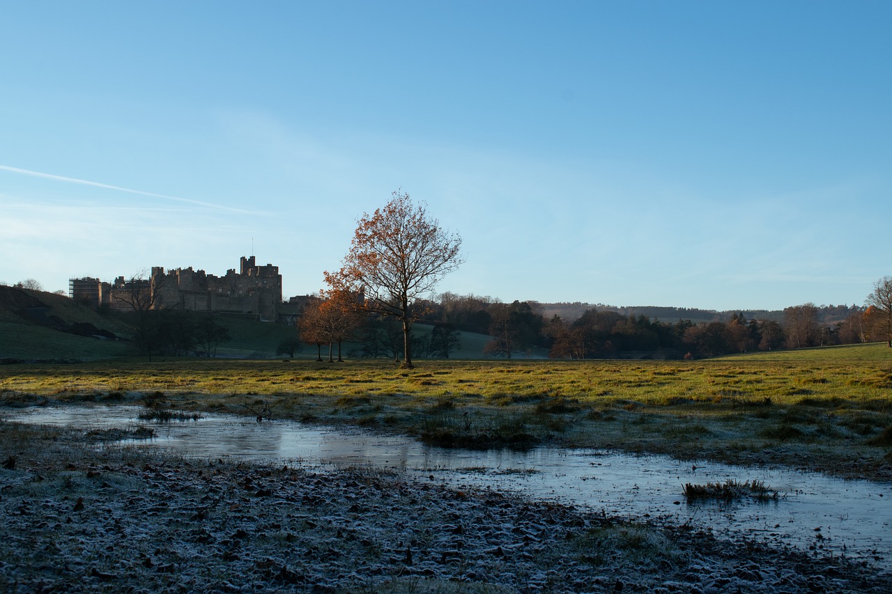Sunset Sunshine Castle Silhouette - joestrakerphotography / Pixabay